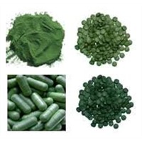 Chlorella Powder/tablet /capsule