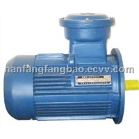 Explosion-Proof Three Phase Induction Motor for Underground Coal Mining