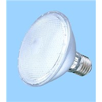 LED Lamp (PAR38)
