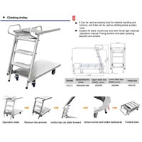 Mini Pickup Ladder