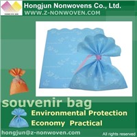 Nonwoven Gift Bag