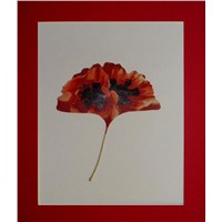 Painting on Leaves --Oriental Poppies