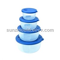 Plastic Preservation Box Mold