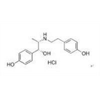 Ritodrine Hydrochloride (CAS No.: 23239-51-2)