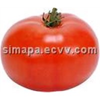 Tomato Paste in Aseptic New Steel Drum