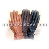 CTR Sports Riding Gloves