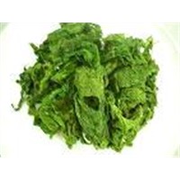 Raw Dried Seaweed/Ulvalactuca/Gracilaria/Eucheuma/Sargassum