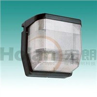 Wall Light of Induction Lamp