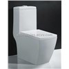 China sanitary ware suppliers Siphonic One-Piece Toilet (A-0147)