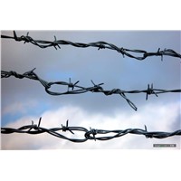Barbed Wire