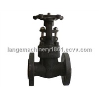Bolted bonnet forged gate valve