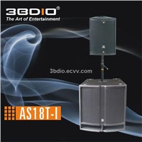 Professional Speaker/Loudspeaker/Subwoofer