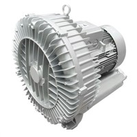 Ring Blowers (LT1 Series)