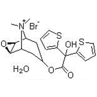 Tiotropium Bromide Hydrate