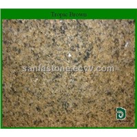 Tropic Brown Natural Granite