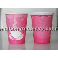 Hot Paper Cup