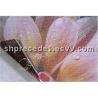 One Way Vision,One Way Vision Film/Perforated Vinyl p1518