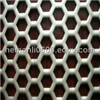 Perforated Sheet