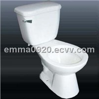 Two Piece Toilet (LY1100)