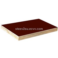 Commercial Plywood