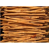 Cassia Stick