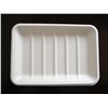 100% Biodegradable Tray