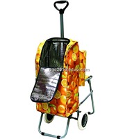 Multi-Function Shopping Trolley