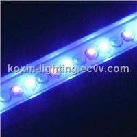 Blue LED Strips