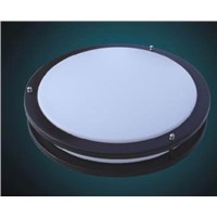 Ceiling Light