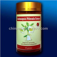 Codonopsis Pilosula Extract