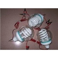 DC 12V Compact Fluorescent Lamp