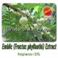 Emblic (Fructus Phyllanthi) Extract