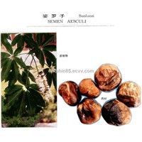 Horse Chestnut P.E., Aescin 20% UV, Escin 20%, Herb Extract
