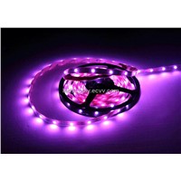 LED Strip