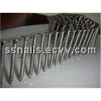 Stainless Steel Annular Ring Shank Nails