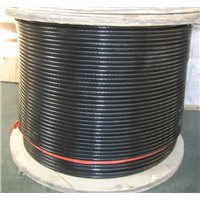 Stainless Wire Ropes