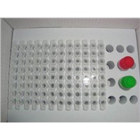 Mutation Detection Kit (ABL T315I)
