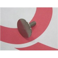 Titanium Rivet