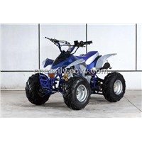 YS70 (70cc Quad ATV)