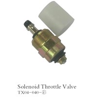 Throttle Solenoid Valve (GT078)