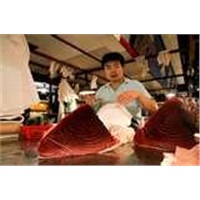 Sashimi Grade Big-Eye & Yellow Fin Tuna