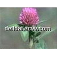 Plant extract Red Clover Extract