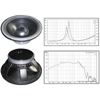 15'' Speaker W15