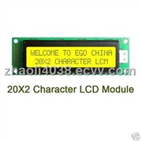 20*02 Standard Character LCD Module