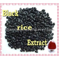 Black Rice P.E