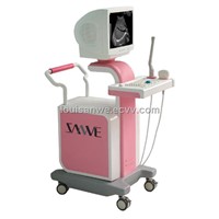 Digital Ultrasound Scanner