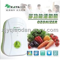 Fruits and Vegetables Disinfection Machine