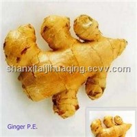 Ginger Plant Extract