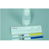 HBsAg Test