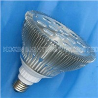 High Power LED PAR Lamp (PAR38 12X1W)